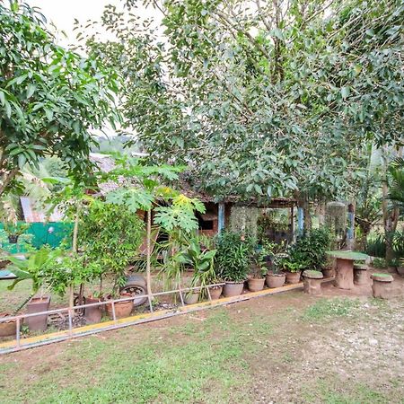 Oyo 75312 Banana Lodge خاو لاك المظهر الخارجي الصورة